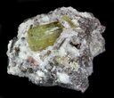 Apatite Crystal In Matrix - Durango, Mexico #33846-1